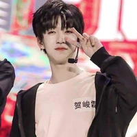 Hạ Tuấn Lâm