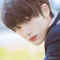 Đinh Trình Hâm