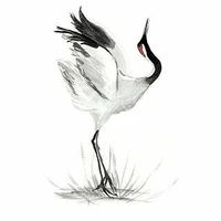 Tiểu Lục