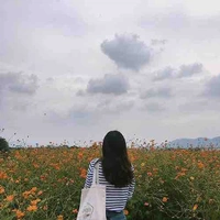 Đàm Kim Ngân-bf cô