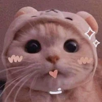 Lee Y/n