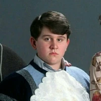 Dudley Dursley