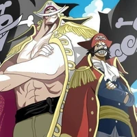 Whitebeard & Roger