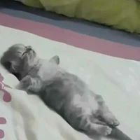 T/g