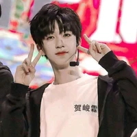 Hạ Tuấn Lâm