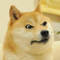 Vàng