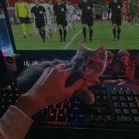 tác giả