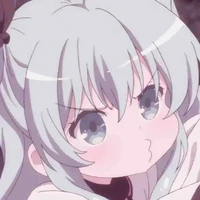 Y/N