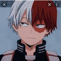 Todoroki Shouto