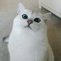Tác giả