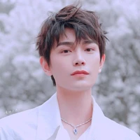 Đinh Vũ Hề ( A Hề)