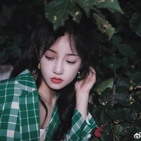 Ngô Giai Di