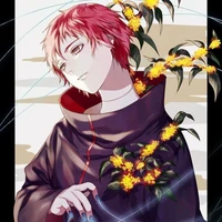Sasori