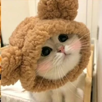Bà nụi tác giả