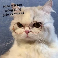 T/g