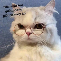 T/g