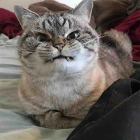 Turi