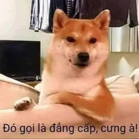 Người Hầu