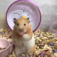Tui tác giả nè:>>