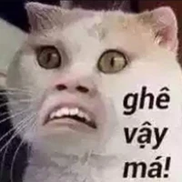 tác giả