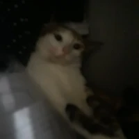 mom