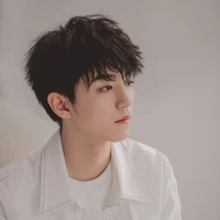 Vương Cao Văn Hoàng Đế{Vương Tuấn Khải}