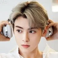 Cha Eun- woo