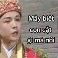 Y/n