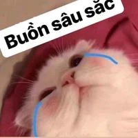 Tác giả