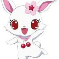 kuma