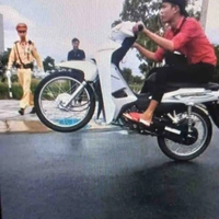 Tác Giả