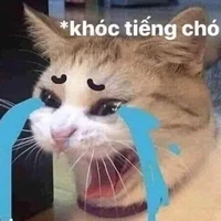 nv quần chúng