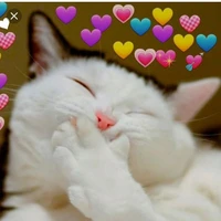 Tác giả so ciu đến đây