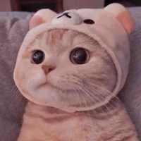 Con tác giả điên khùng 