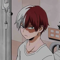Todoroki Shouto