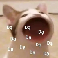 uwu