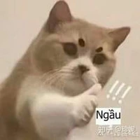 1 cảnh sát nào đó