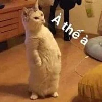 Mẹ của ai cũng được