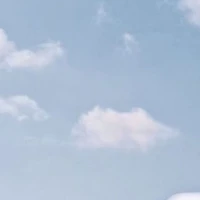 nhân vật tè le cành me