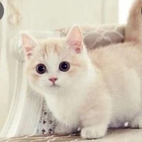 lạc lạc