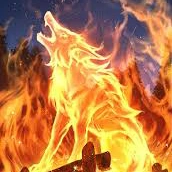 Sói Lửa thuộc loại hiếm của Ngọc