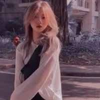 Chan Y/N