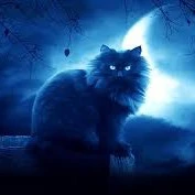 Catty