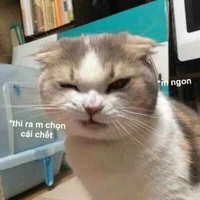 tg thỉu năng