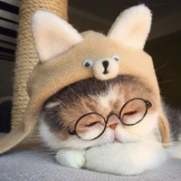Mimi
