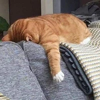 Tác giả siu siêng lăng