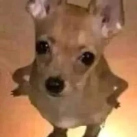 con tác giả đẹp zai