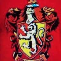 Nhóm harry,hermione và ron