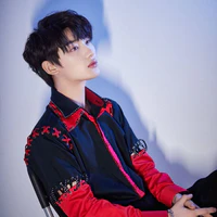 Đinh Trình Hâm- anh