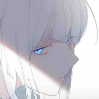 Y/n